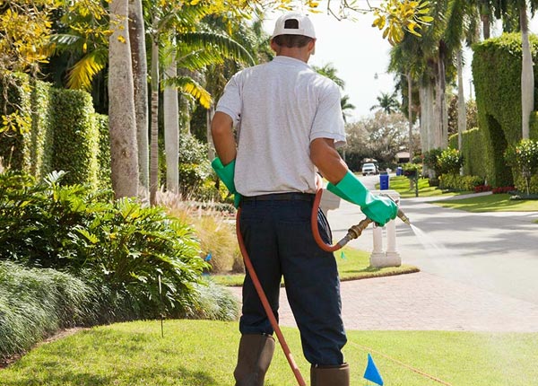 About Westbury NY Pest Control